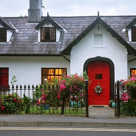 Ivy Cottage B&B Killarney Exterior foto