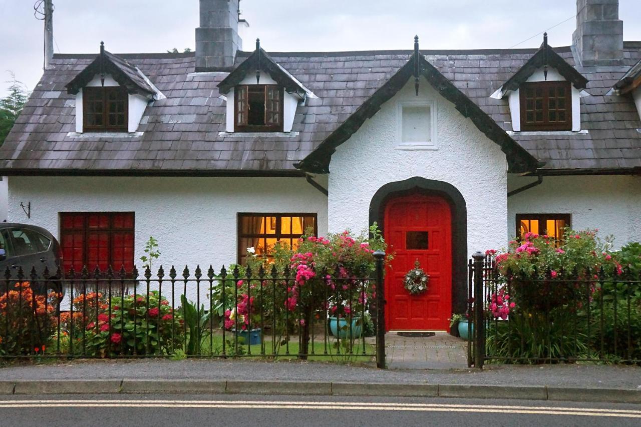 Ivy Cottage B&B Killarney Exterior foto